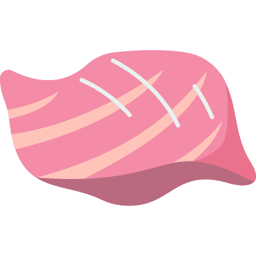 Tuna tuna fillet sashimi icon Tuna tuna fillet sashimi icon