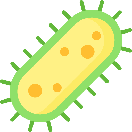 Bacteria infection bacteria healthcare and medical icon