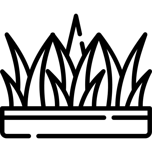 Grass botanical leaves grass icon