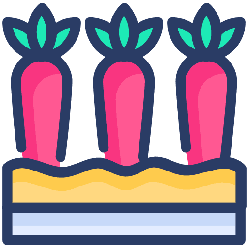 Carrot vegetable food harvest icon