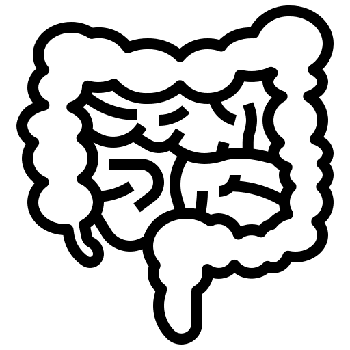 Colon colon disease healthcare icon