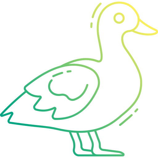 Duck zoo animals duck icon Duck zoo animals duck icon
