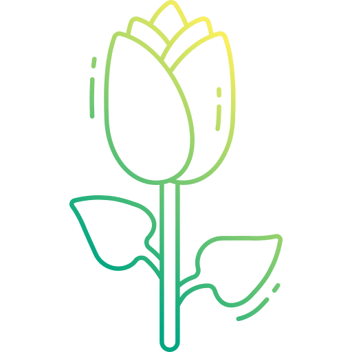 Tulip flower tulip fragrance icon Tulip flower tulip fragrance icon