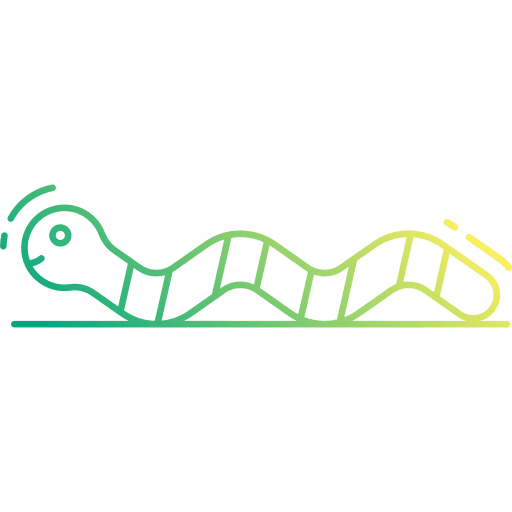 Worm crawl bug worm icon Worm crawl bug worm icon