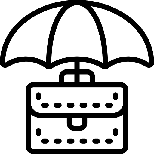 Business shield tick business and finance icon