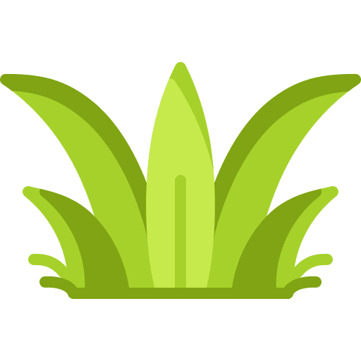Grass grass nature botanic icon