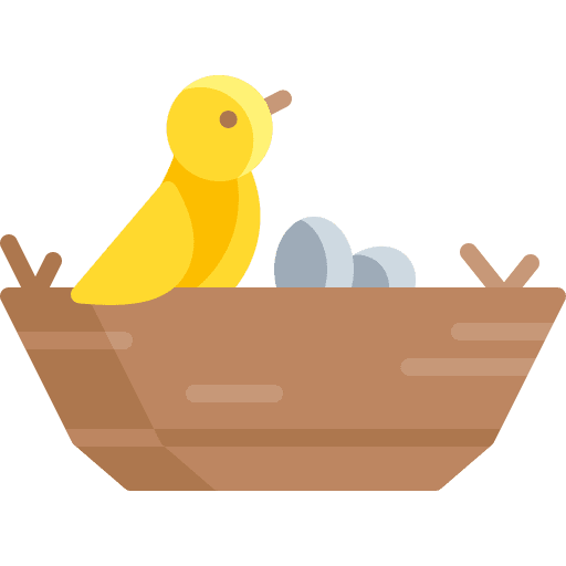 Nest spring eggs bird icon