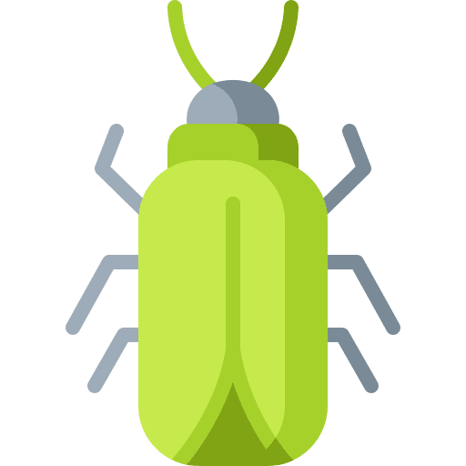 Bug animal kingdom animals bug icon Bug animal kingdom animals bug icon