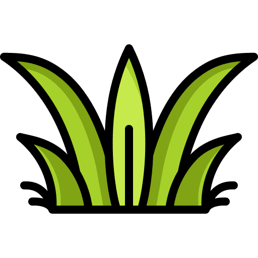 Grass grass leaves nature plant icon