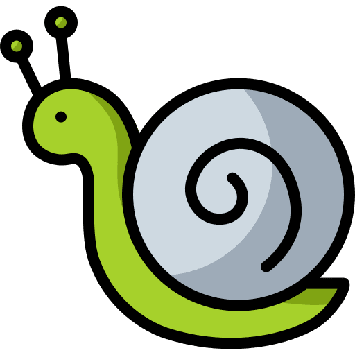 Snail garden spring wildlife icon