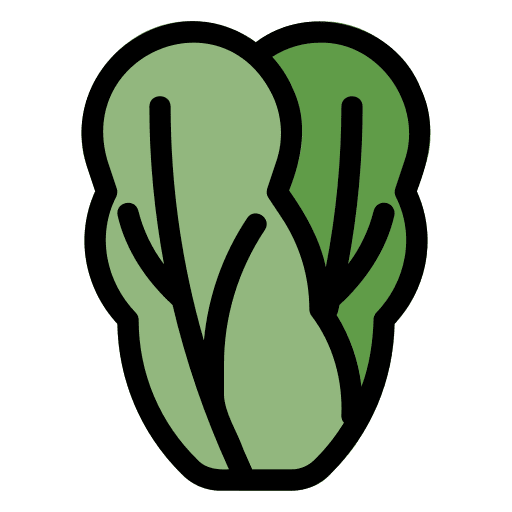 Cabbage salad food and restaurant cabbages icon