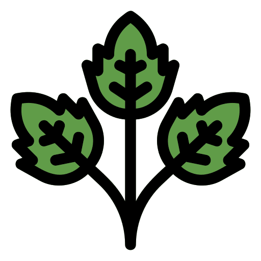 Parsley nature food and restaurant healthy food icon