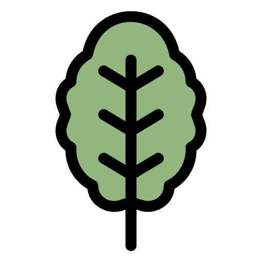 Spinach vegetable nature food and restaurant icon