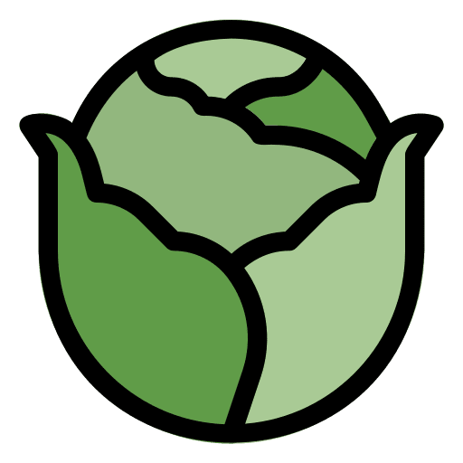 Cabbage vegetarian vegetable food and restaurant icon Cabbage vegetarian vegetable food and restaurant icon
