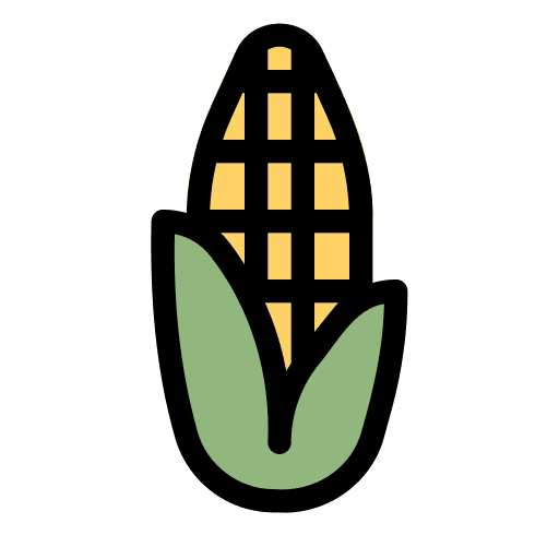 Corn food corn organic icon Corn food corn organic icon