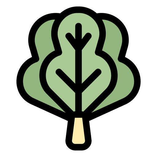 Lettuce food vegetable vegan icon Lettuce food vegetable vegan icon