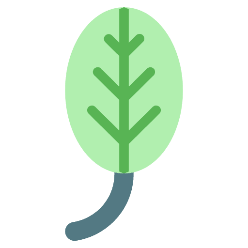 Leaf garden leaf fall icon