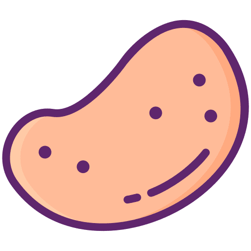 Potato healthy organic potato icon