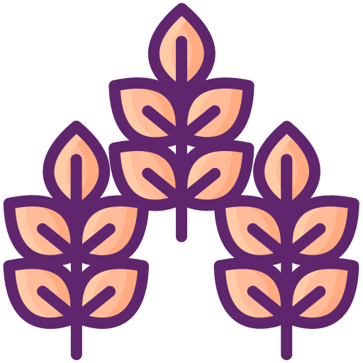 Wheat farming and gardening farming wheat icon
