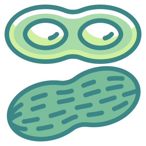 Nuts diet allergy nutrition icon