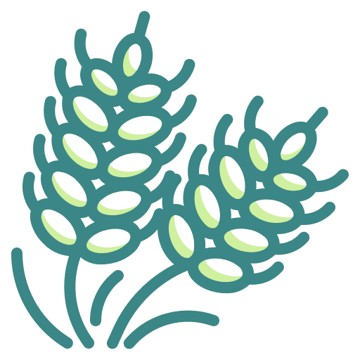 Wheat wheat allergen nature icon