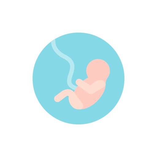 Fetus reproduction fetus gestation icon