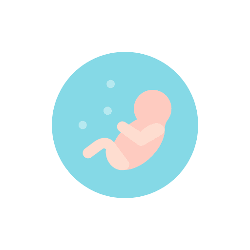 Embryo embryo motherhood pregnant icon Embryo embryo motherhood pregnant icon