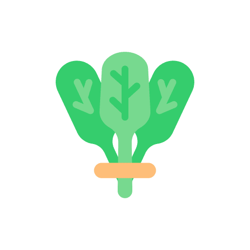 Vegetables organic salad vegetable garden icon Vegetables organic salad vegetable garden icon