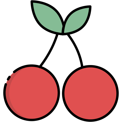 Cherry diet vegan fruit icon