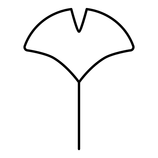Ginko garden nature plant icon