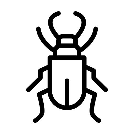Beetle beetle insect bug icon