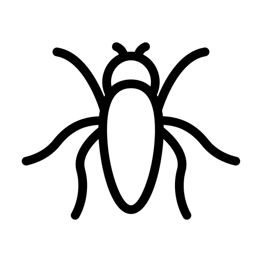 Insect insect beetle zoology icon
