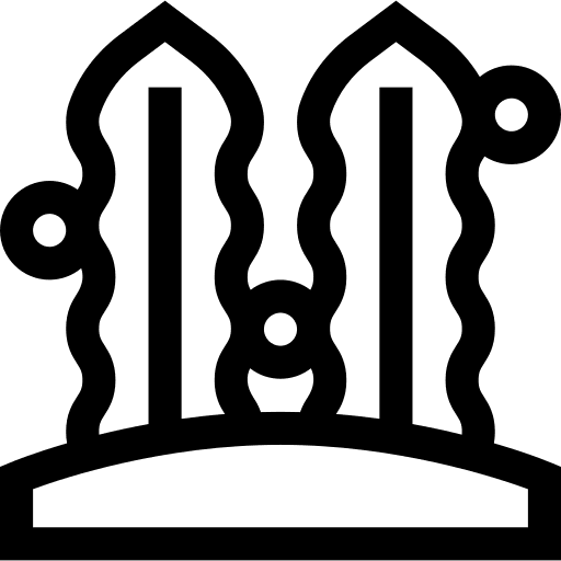 Seaweed algae nature marine icon Seaweed algae nature marine icon