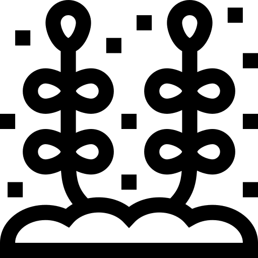 Coral coral animals invertebrate icon Coral coral animals invertebrate icon