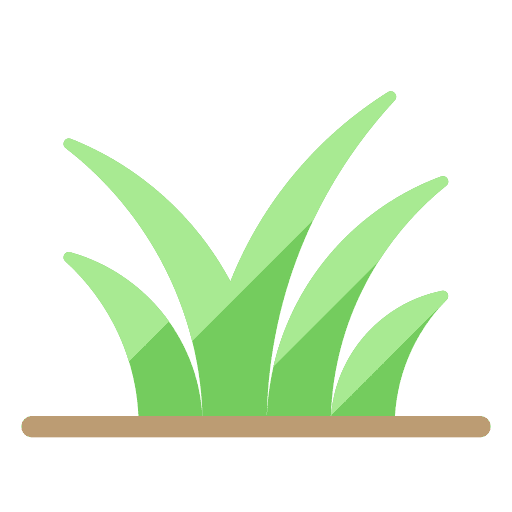 Grass plant fresh nature icon