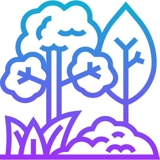 Forest natural tropical landscape icon