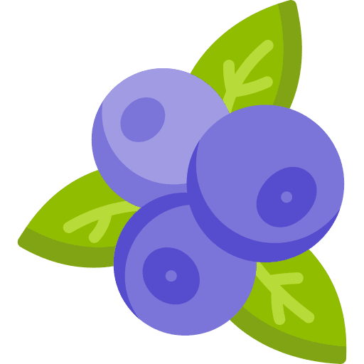 Blueberry healthy food vegan blueberry icon Blueberry healthy food vegan blueberry icon