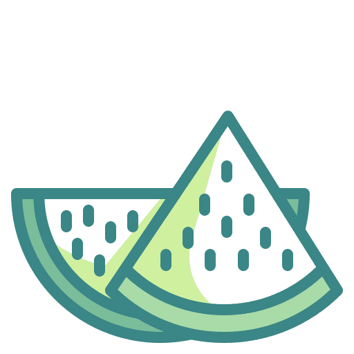 Watermelon food melon fruit icon