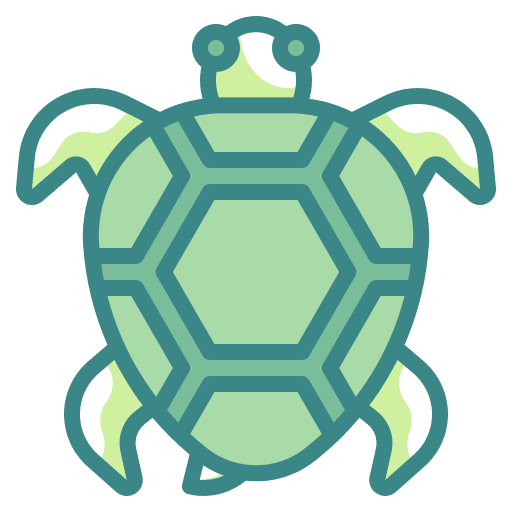 Turtle sea animals zoo icon