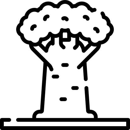 Baobab tree botanical ecology icon