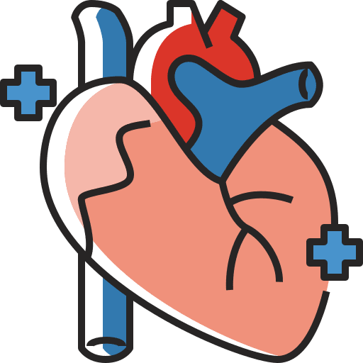 Heart muscle body part healthcare and medical icon