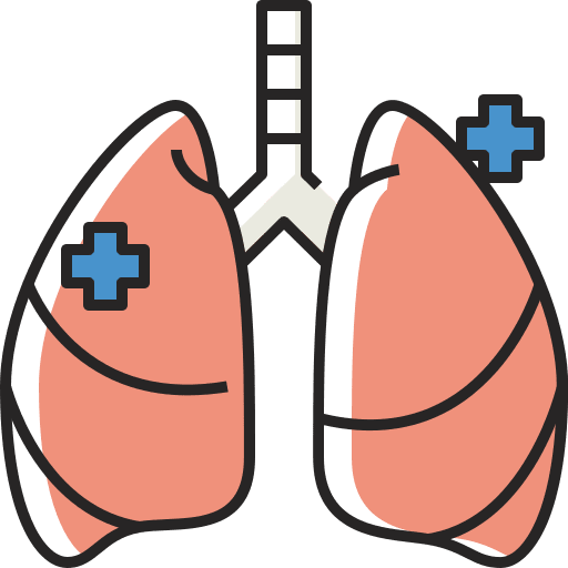 Lungs healthcare and medical anatomy lungs icon