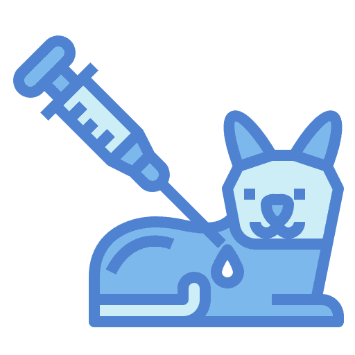 Cat vaccine healthcare and medical cat icon