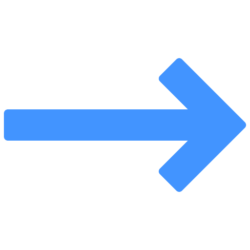 Right arrows direction skip icon