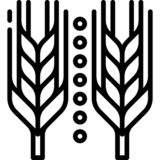 Agriculture revolution wheat agriculture icon