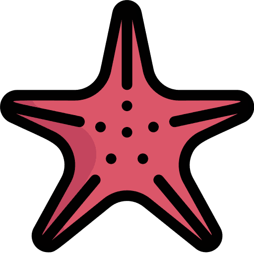 Starfish echinoderm animals starfishes icon Starfish echinoderm animals starfishes icon