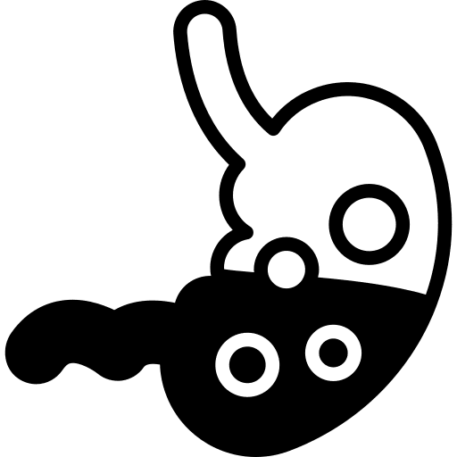 Kidneys urology anatomy organ icon