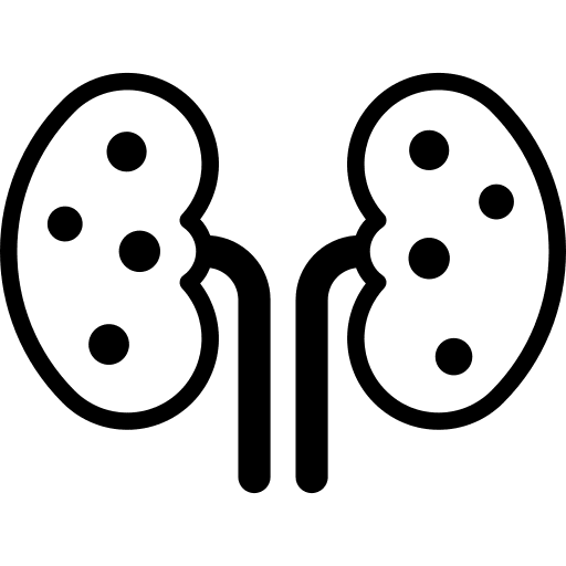Kidneys urologist body organ urine icon