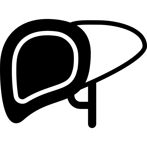 Liver liver organ bacteria liver icon