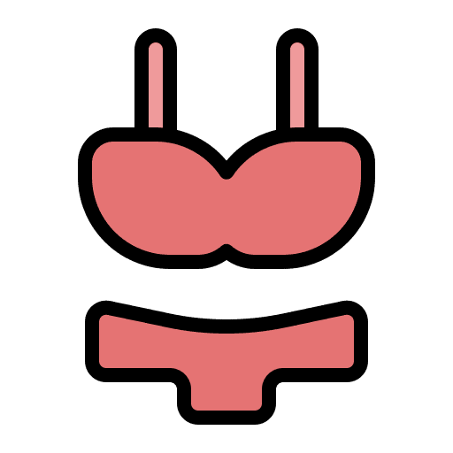 Bikini femenine fashion clothing icon Bikini femenine fashion clothing icon